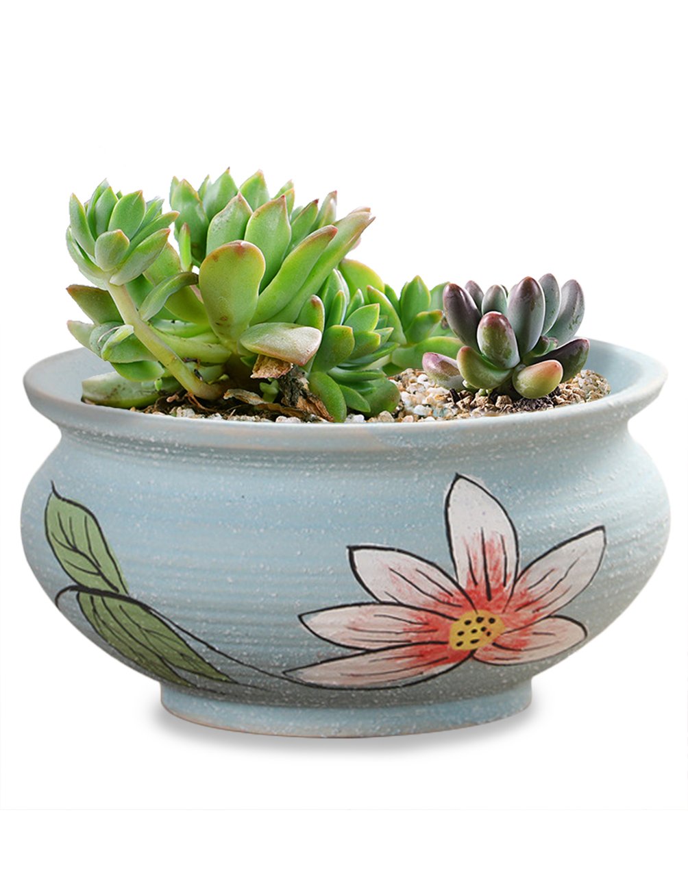 succulent pot with saucer Hand Painted Lotus Ceramic Succulent Planter | Plant Pot