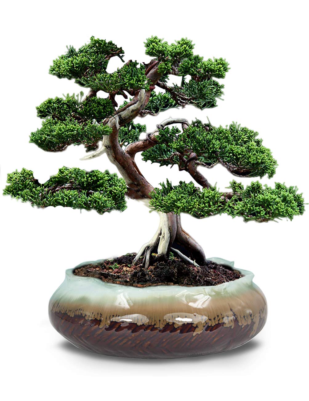 small wide plant pot Rustic Drip Glazed Ceramic Planter - Wide | Plant Pot