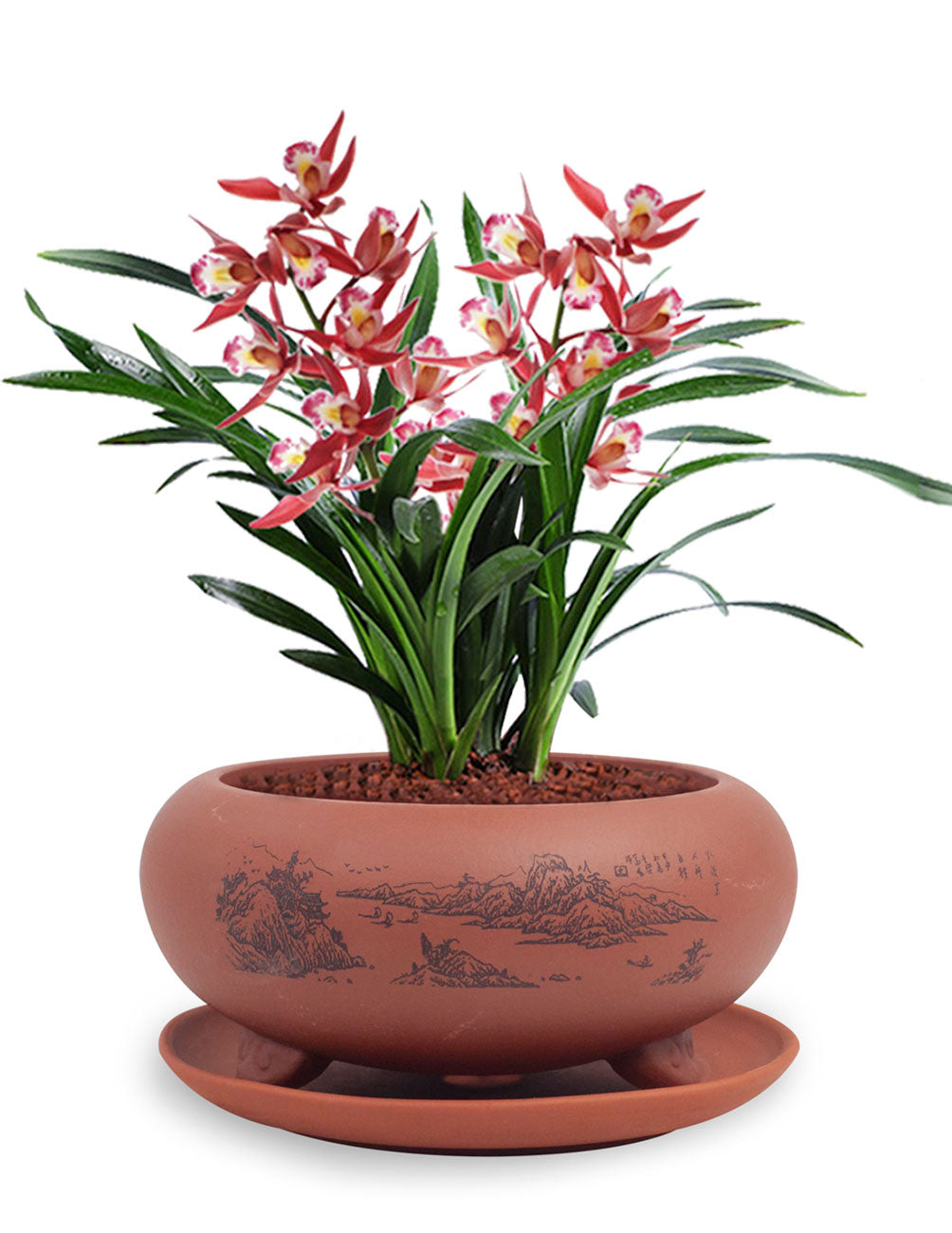 succulent planter with saucer Valley Scene Zisha Succulent Planter w. Saucer | Plant Pot