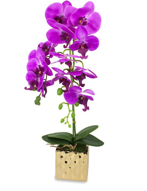 Artificial Flowers and Plants