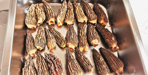Dried Morchella / Morel Mushroom 特级 羊肚菌80g  1/10