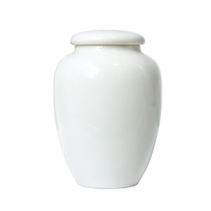 [product type] | Oriental Ink Painting Porcelain Tea Canister | Dahlia