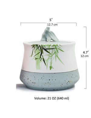 [product type] | Dahlia Peaceful Bamboo High Grade Porcelain Loose Tea Canister | Dahlia