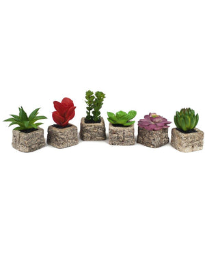 Artificial Mini Succulent Potted Plant in Concrete Rock Flower Pot Planter Set of 6 | Planters | Dahlia