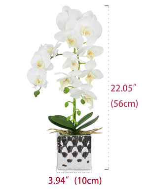 [product type] | Natural Looking Artificial Orchid Plant Flower Arrangement | Dahlia