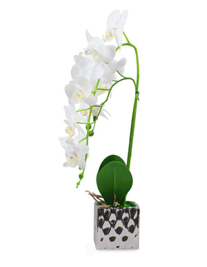 [product type] | Natural Looking Artificial Orchid Plant Flower Arrangement | Dahlia