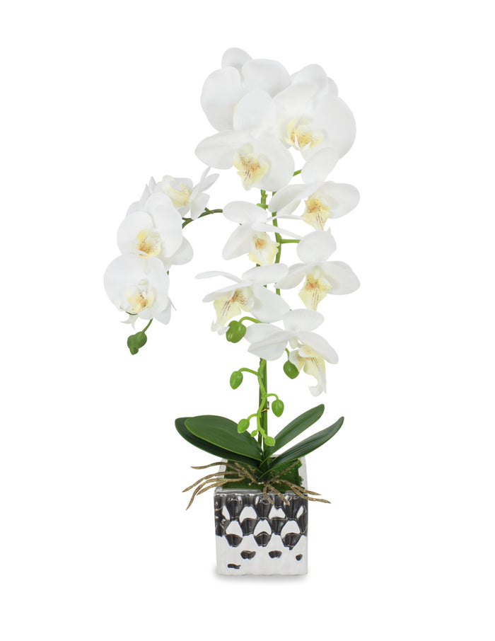 Natural Looking Artificial Orchid Plant Flower Arrangement