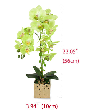 [product type] | Natural Looking Artificial Orchid Plant Flower Arrangement | Dahlia