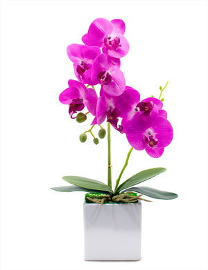 [product type] | Realistic Silk Orchid Artificial Flower Arrangement | Dahlia