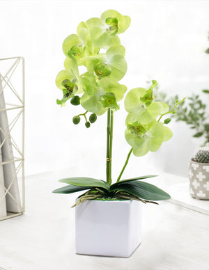 [product type] | Realistic Silk Orchid Artificial Flower Arrangement | Dahlia