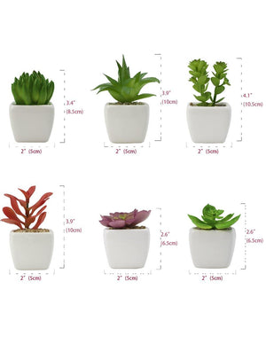 Artificial Mini Succulent Potted Plant in Ceramic White Flower Pot Planter Set of 6 | Planters | Dahlia