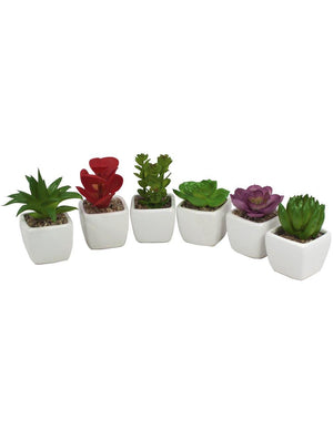 Artificial Mini Succulent Potted Plant in Ceramic White Flower Pot Planter Set of 6 | Planters | Dahlia