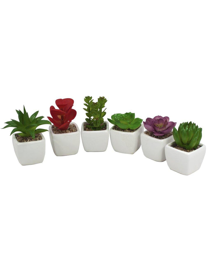 Artificial Mini Succulent Potted Plant in Ceramic White Flower Planter - Set of 6 | Flower Pot | Dahlia