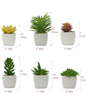 Artificial Mini Succulent Potted Plant in Ceramic White Flower Pot Planter Set of 6 | Planters | Dahlia