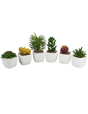 Artificial Mini Succulent Potted Plant in Ceramic White Flower Pot Planter Set of 6 | Planters | Dahlia
