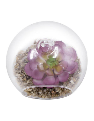 Artificial Mini Succulent Potted Plant in Glass Globe Flower Pot Planter Set of 6 | Planters | Dahlia