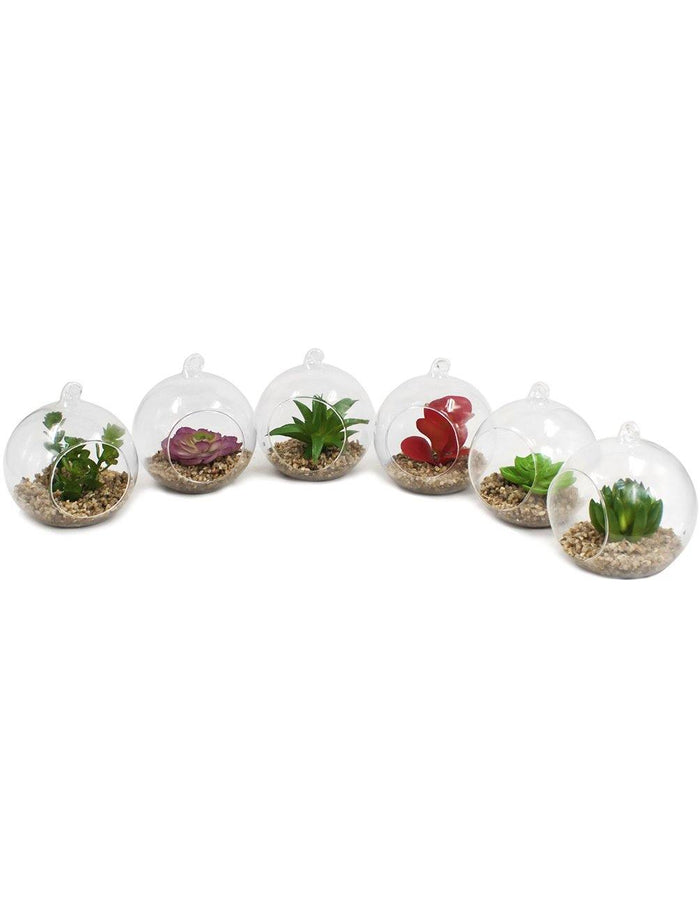 Artificial Mini Succulent Potted Plant in Glass Globe Planter - Set of 6 |Flower Pot | Dahlia