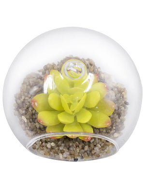 Artificial Mini Succulent Potted Plant in Glass Globe Flower Pot Planter Set of 6 | Planters | Dahlia