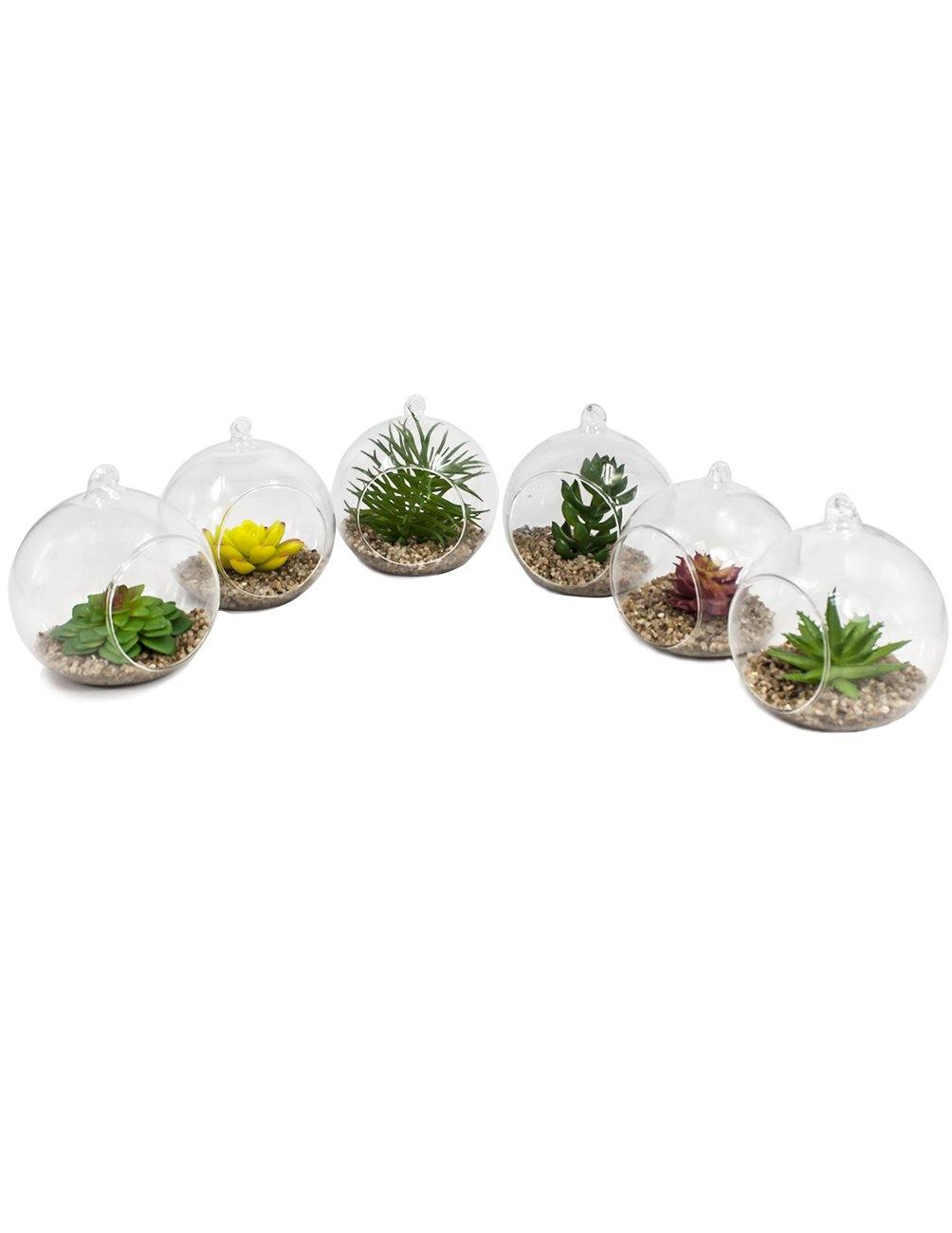 glass ball succulent Artificial Mini Succulents in Glass Flower Pots Set of 6