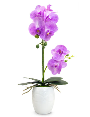 Realistic Orchid Artificial Flower Arrangement with Etched White Ceramic Pot