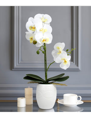 Realistic Orchid Artificial Flower Arrangement with Etched White Ceramic Pot