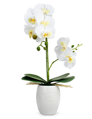 Realistic Orchid Artificial Flower Arrangement with Etched White Ceramic Pot