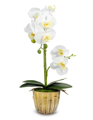 Realistic Orchid Artificial Flower Arrangement with Bamboo Ceramic Pot