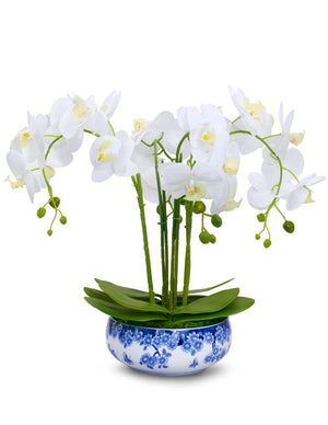 Dahlia Realistic Flower Arrangement in Blue and White Porcelain Pot, 24 Phalaenopsis Orchids, White