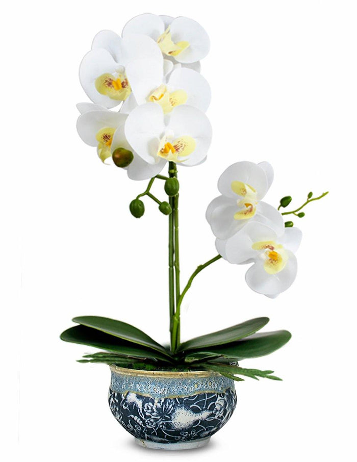 Dahlia Realistic Flower Arrangement in Blue and White Porcelain Pot, 7 Phalaenopsis Orchids, White