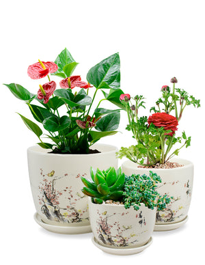 Hand Painted Ceramic Plant Pot with Attached Saucer Set of 3  | Planters | Dahlia