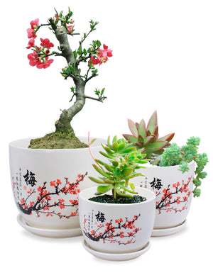 Hand Painted Ceramic Plant Pot with Attached Saucer Set of 3  | Planters | Dahlia