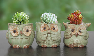  Vintage Ceramic Owl Succulent Pot | Plant Pot Bonsai | Dahlia