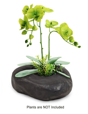  Stone Like Concrete Succulent Planter | Plant Pot | Dahlia