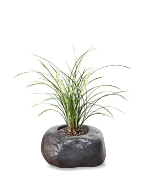  Stone Like Concrete Succulent Planter | Plant Pot | Dahlia