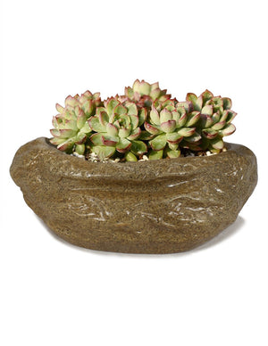  Stone Like Concrete Succulent Planter | Plant Pot | Dahlia