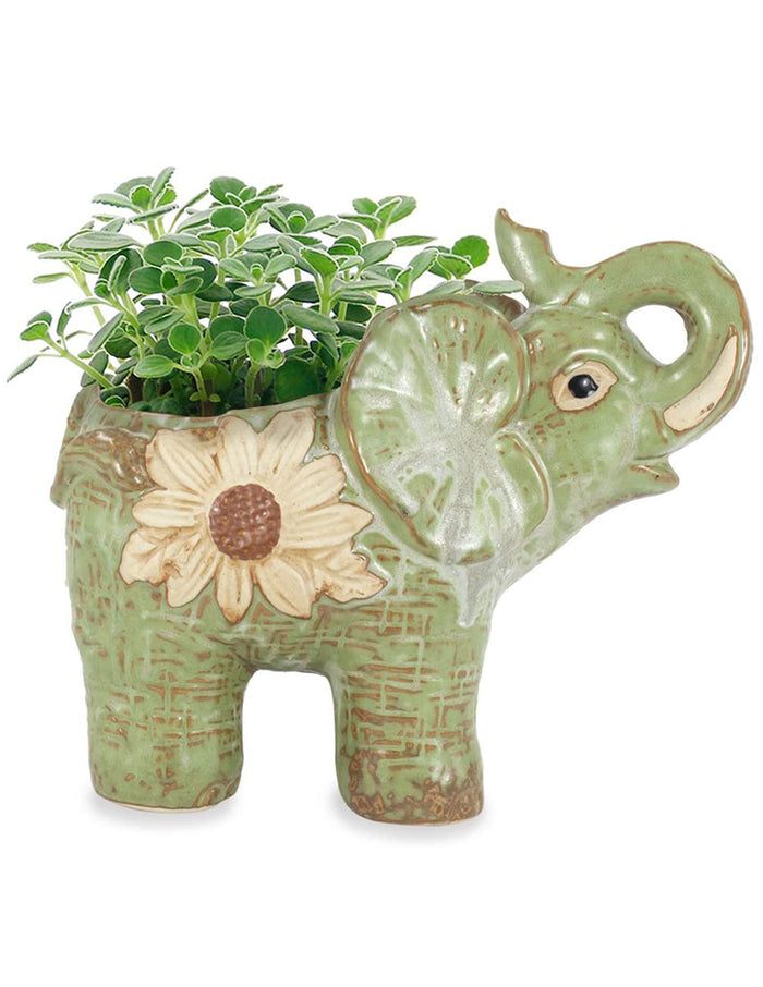 Vintage Ceramic Elephant Succulent Pot | Plant Pot | Dahlia