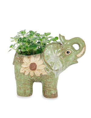  Vintage Ceramic Elephant Succulent Pot | Plant Pot Bonsai | Dahlia