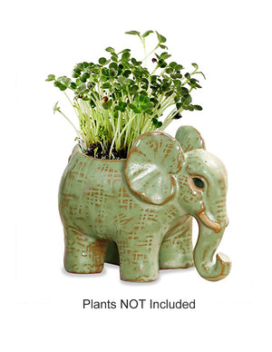  Vintage Ceramic Elephant Succulent Pot | Plant Pot Bonsai | Dahlia