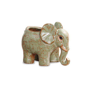  Vintage Ceramic Elephant Succulent Pot | Plant Pot Bonsai | Dahlia