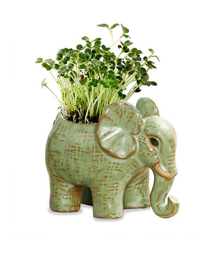  Vintage Ceramic Elephant Succulent Pot | Plant Pot Bonsai | Dahlia