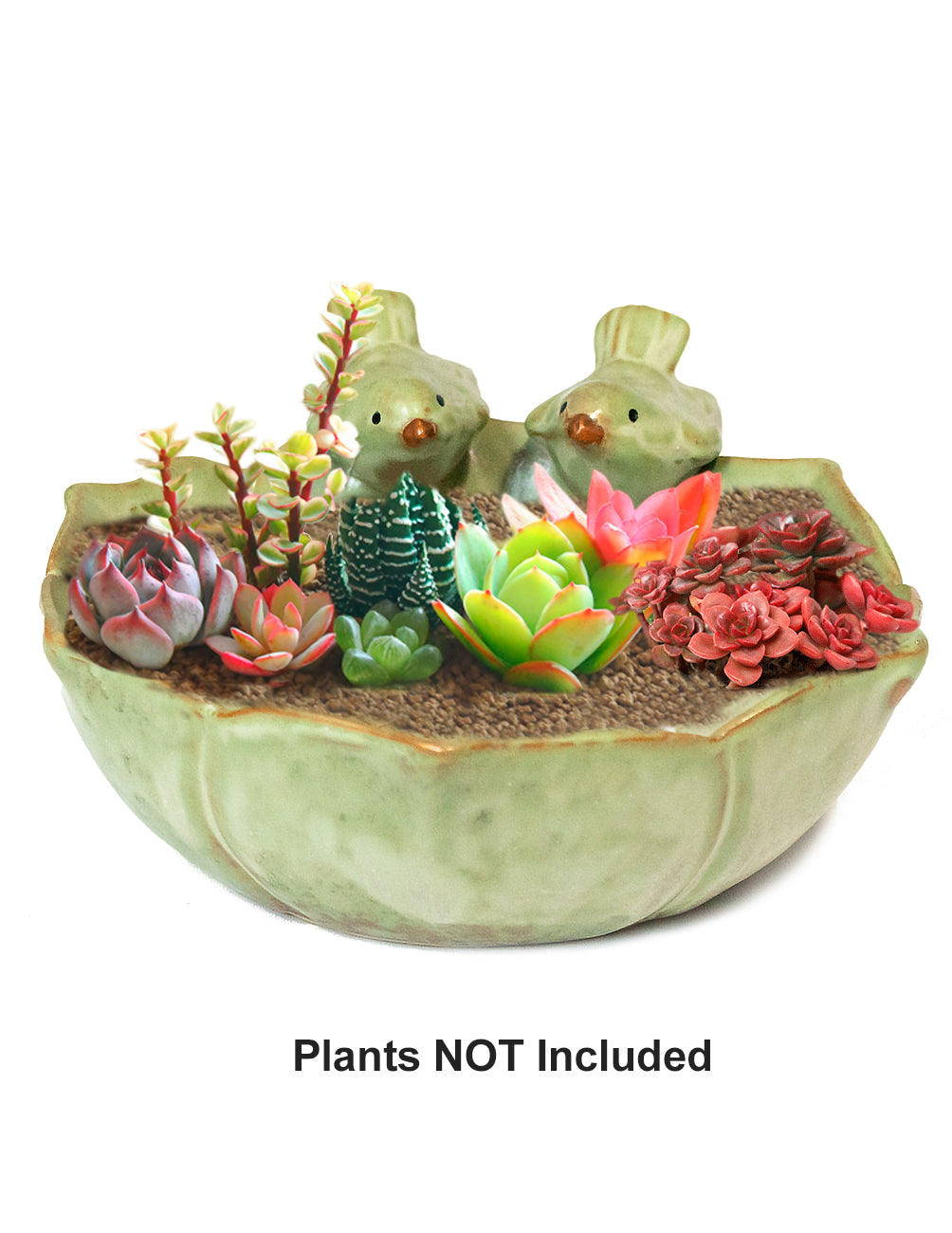 bird succulent planter Dahlia Twittering Song Birds Handmade Ceramic Succulent Planter/ Plant Pot/ Flower Pot/ Bonsai Pot