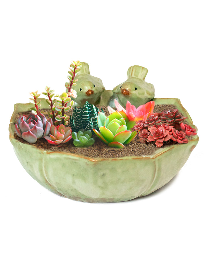 Vintage Ceramic Bird Succulent Pot | Planter | Dahlia