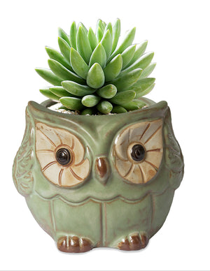  Vintage Ceramic Owl Succulent Pot | Plant Pot Bonsai | Dahlia