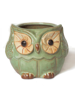  Vintage Ceramic Owl Succulent Pot | Plant Pot Bonsai | Dahlia