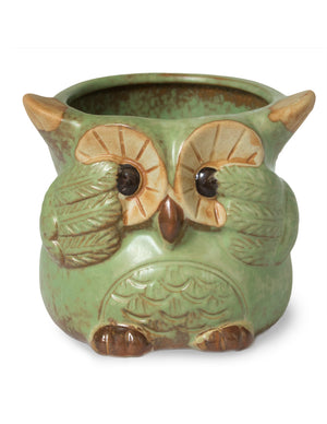  Vintage Ceramic Owl Succulent Pot | Plant Pot Bonsai | Dahlia