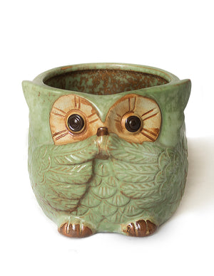  Vintage Ceramic Owl Succulent Pot | Plant Pot Bonsai | Dahlia