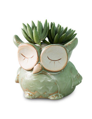  Vintage Ceramic Owl Succulent Pot | Plant Pot Bonsai | Dahlia