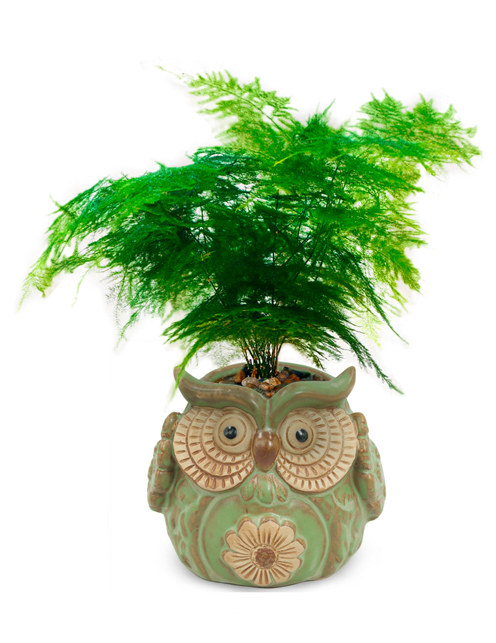 owl succulent planter Vintage Ceramic Owl Succulent Pot | Plant Pot