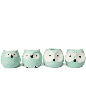  Vintage Ceramic Owl Succulent Pot | Plant Pot Bonsai | Dahlia
