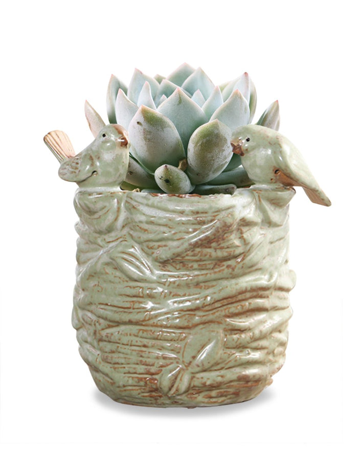 Bird Nest Ceramic Succulent Pot | Planter | Dahlia